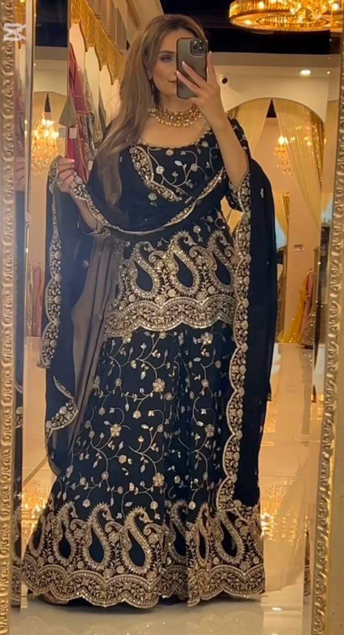 Royal Charm with Intricate Embroidery