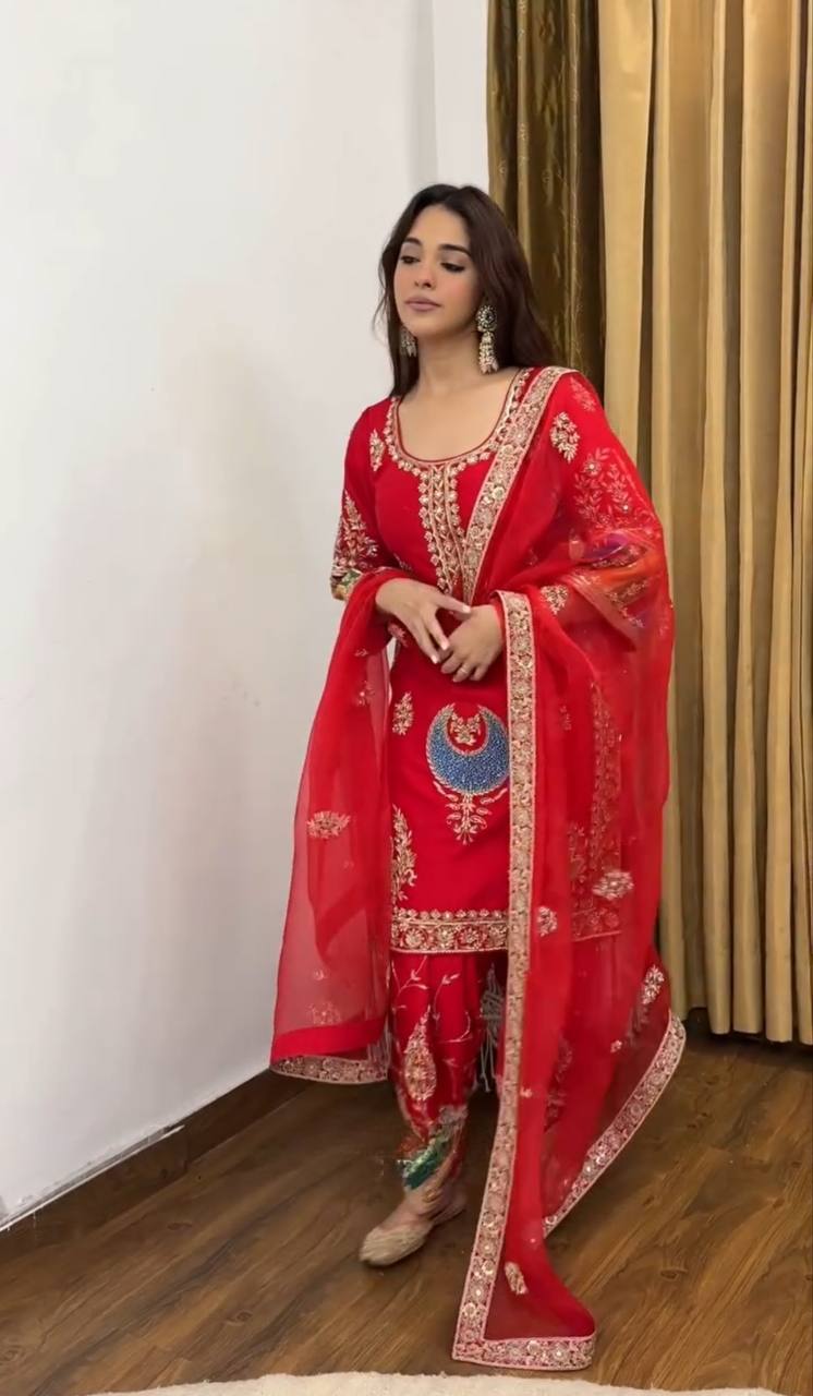 Cultural Splendor: Exquisite Red Outfit