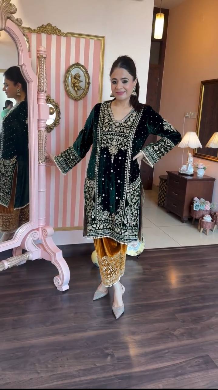 WEAR WINTER   VELVET CORDING SEQUENCE EMBROIDERY WORK SUIT