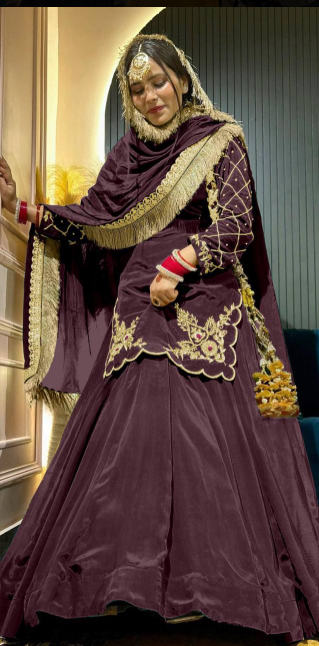 Regal Zari and Stone Embellished Hand work.